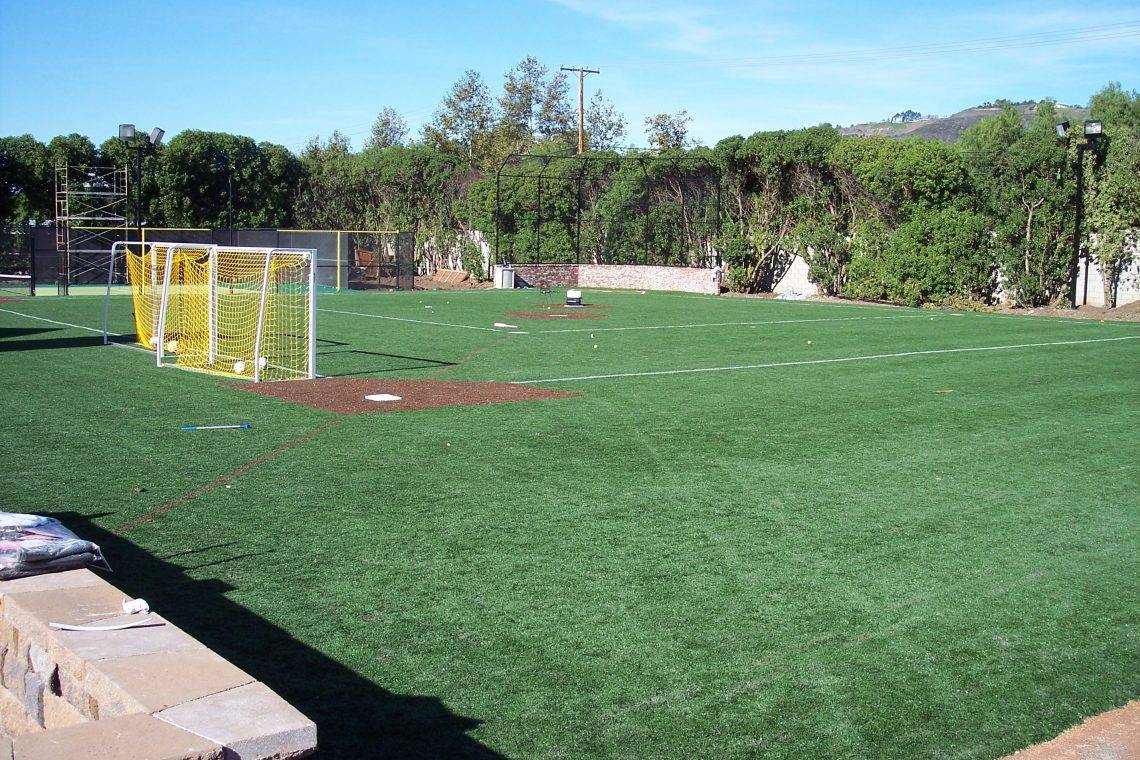 Pet Turf and Play Area 2
